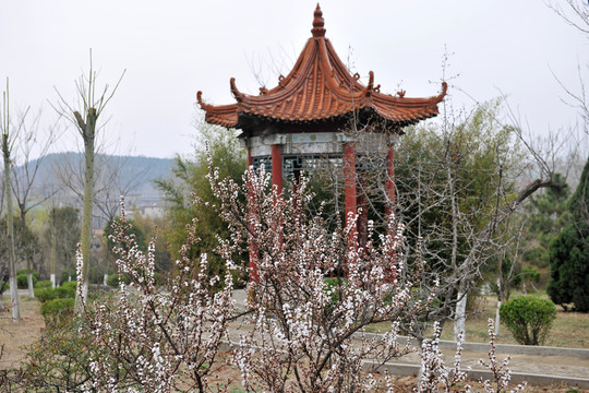 公園風(fēng)景  園林景觀