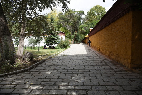 羅布林卡黃色磚墻 路