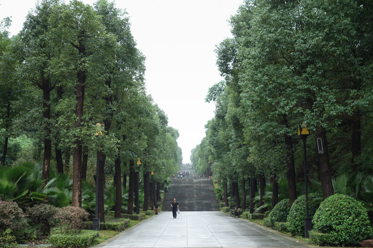 大足石刻景區(qū)步道叢林