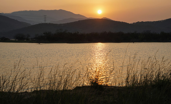 湖岸日出