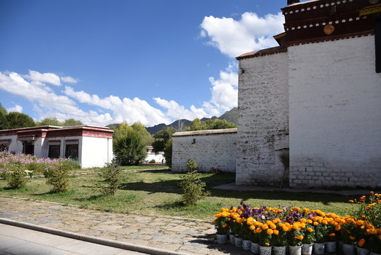 羅布林卡園林景觀