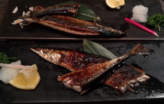 秋刀魚
