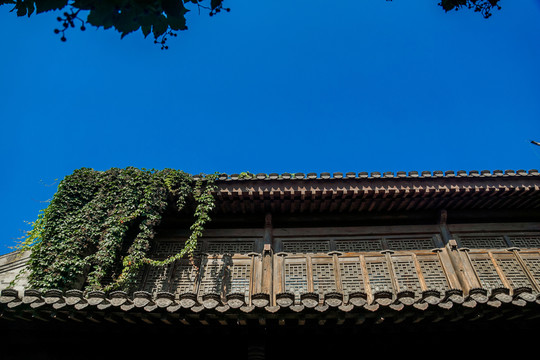 臺(tái)兒莊古城風(fēng)光