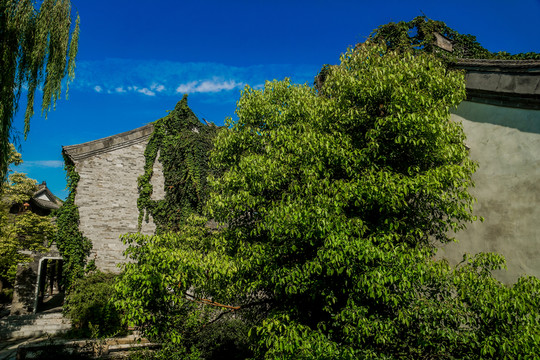 臺(tái)兒莊古城風(fēng)光
