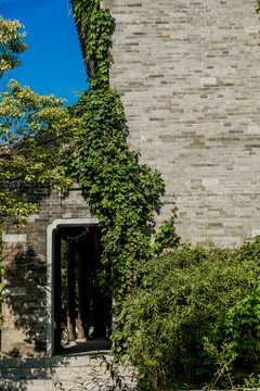 臺兒莊古城傳統(tǒng)建筑