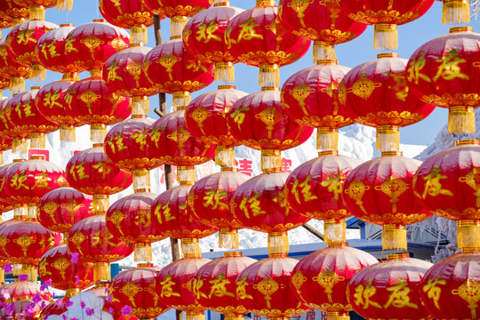 冬天紅燈籠
