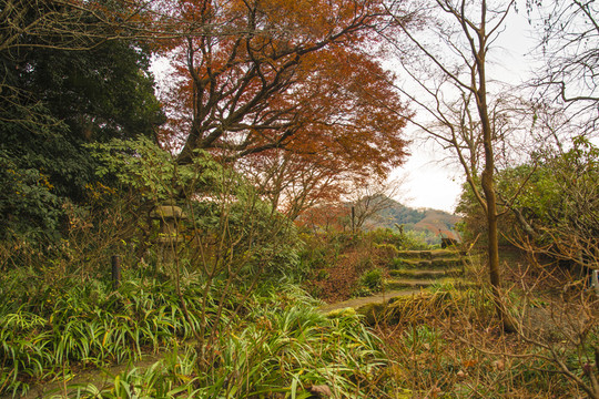 山林小徑