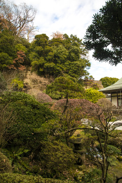 日式庭院