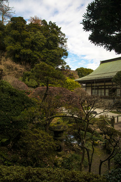 神社庭院