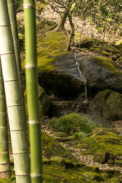 竹林山泉