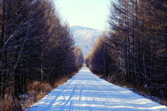 山林雪路