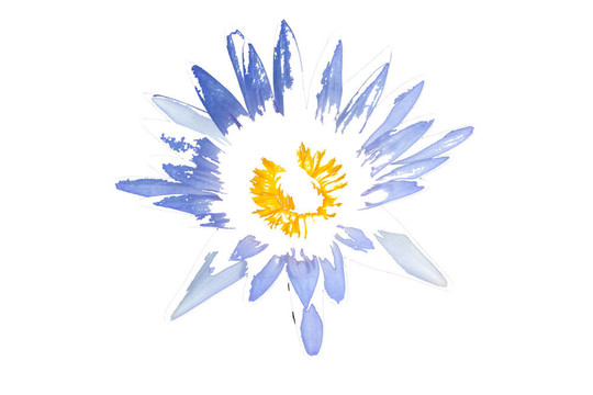 蓮花
