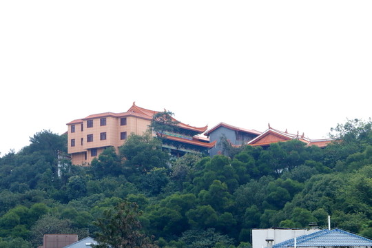 金雞山照天君宮