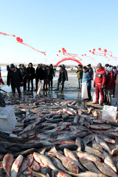 冬捕 捕魚 TIF格式 打魚人