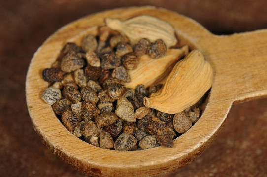 小豆蔻種子