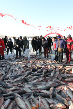 冬捕 捕魚 TIF格式