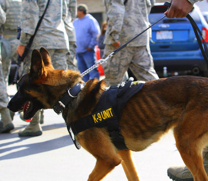 警犬