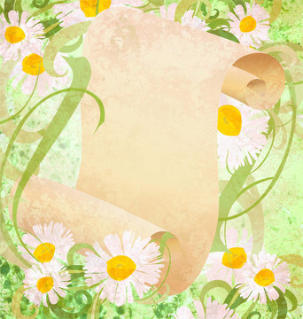 雛菊花；青草和老紙卷軸插圖