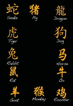 中國(guó)的生肖。