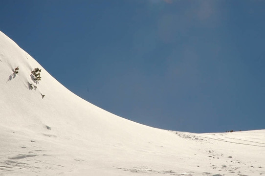 冬山