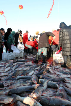 冬捕 捕魚 TIF格式 打魚人
