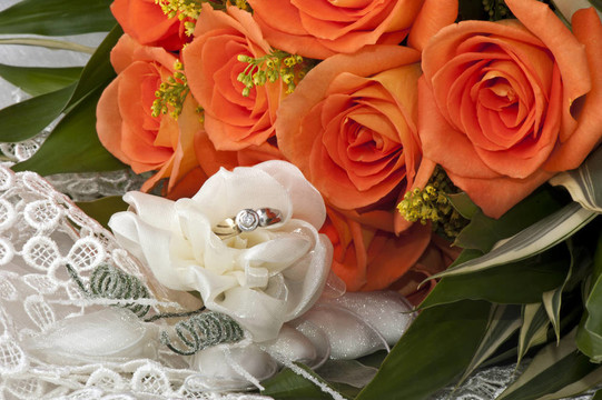 結(jié)婚禮物；結(jié)婚戒指和玫瑰花
