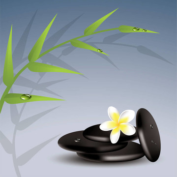 竹；雞蛋花和潮濕的石頭