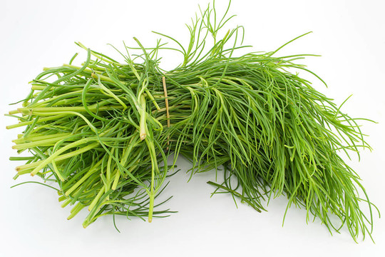 agretti
