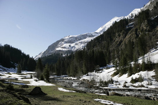 山