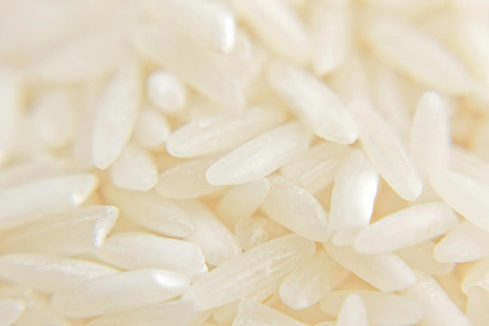 Rice的特寫