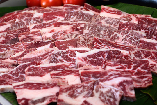 新鮮排骨肉