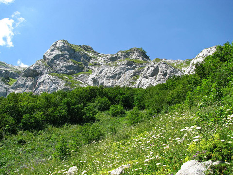 高加索自然保護(hù)區(qū)壯麗的山岳風(fēng)光