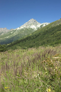 山地景觀