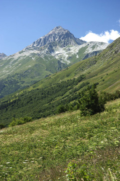 山地景觀