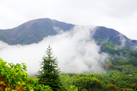 云霧大山