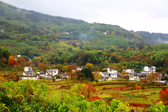 山村秋色 塔川風(fēng)光