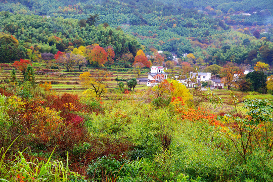 塔川風(fēng)光