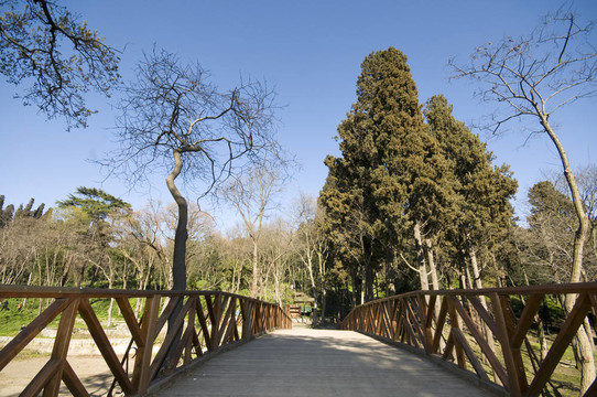 木橋
