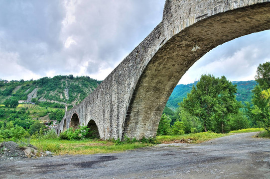 駝背橋。博比奧。Emilia Romagna。意大利.