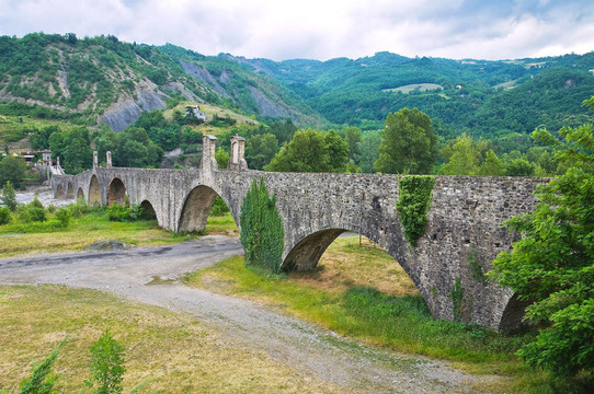 駝背橋。博比奧。Emilia Romagna。意大利.