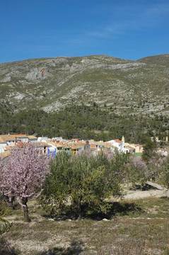 Mediterranean村