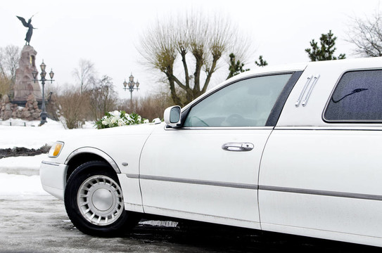 白色轎車(chē)的一部分；婚禮用鮮花汽車(chē)。
