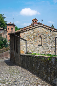 小巷。公司arquato。Emilia Romagna。意大利.
