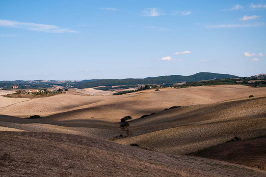 克里特島senesi