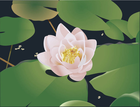 水莉莉插圖