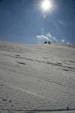 陽光和白雪