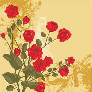插花藝術(shù)