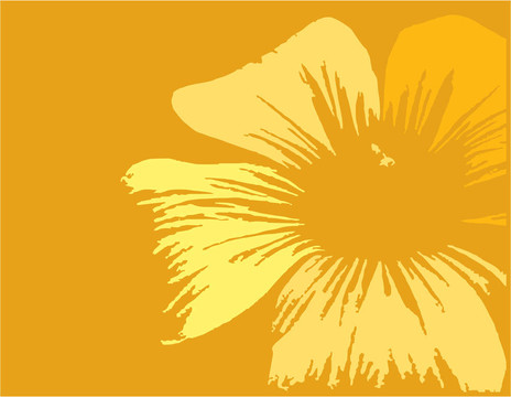 插花藝術(shù)