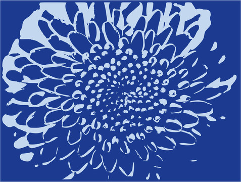 插花藝術(shù)