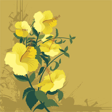 插花藝術(shù)